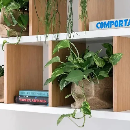 New Bright Design With Spacious Balcony